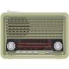 Радиоприемник Ritmix RPR-030 (золотистый)