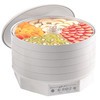 Сушилка для овощей и фруктов Ezidri Snackmaker FD500